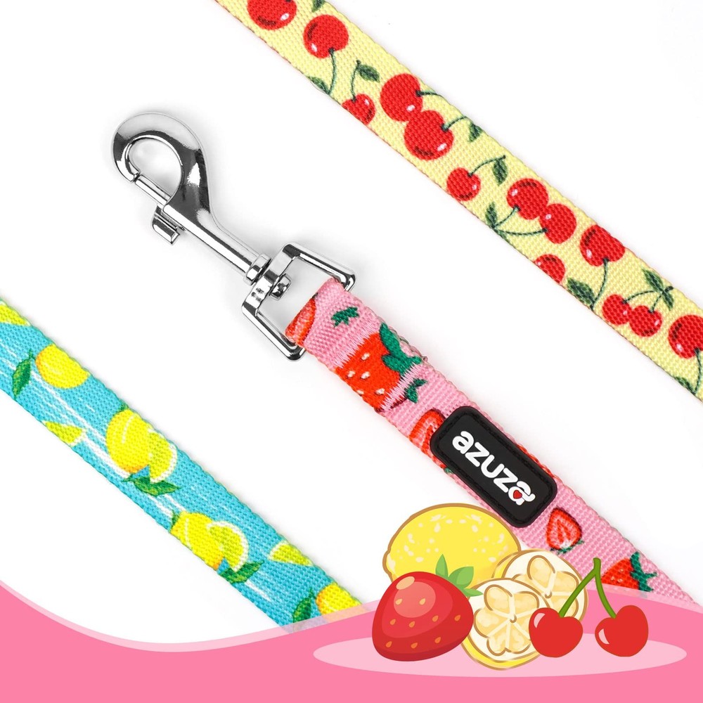 Fruit Design Nylon Dog Leashes 5FT with Easy to Use Hook 3 Pack Medium