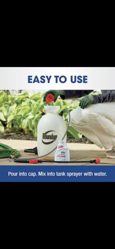 Roundup Weed and Grass Killer Concentrate Plus - 16oz