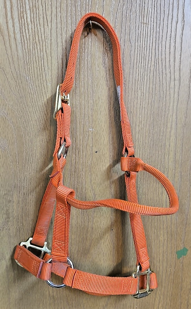 Weaver 1" Average Horse Halter; Orange