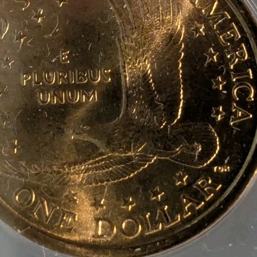 2000-P Sacagawea Dollar ANACS MS66 "Wounded Eagle" FS-901