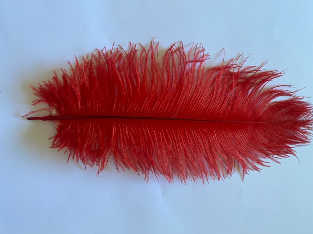 Ten (10 ) red first grade drab's ostrich feathers 28-32cm