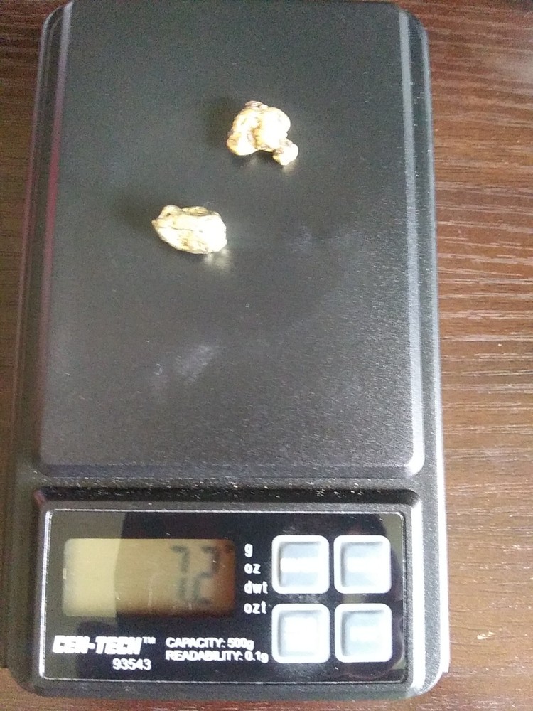 9.0g Gold - 3 Nuggets