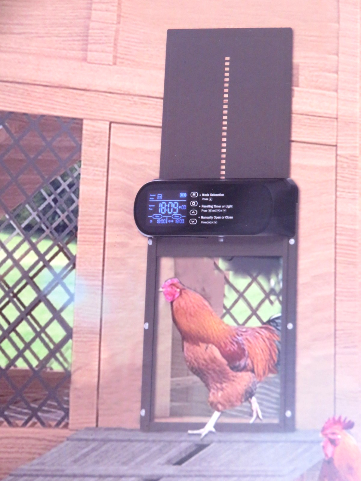 Automatic Chicken Coop Door Waterproof Solar Powered New