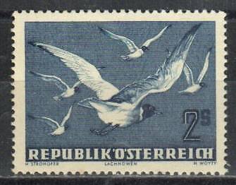 Austria Stamp C56  - Blackheaded gulls