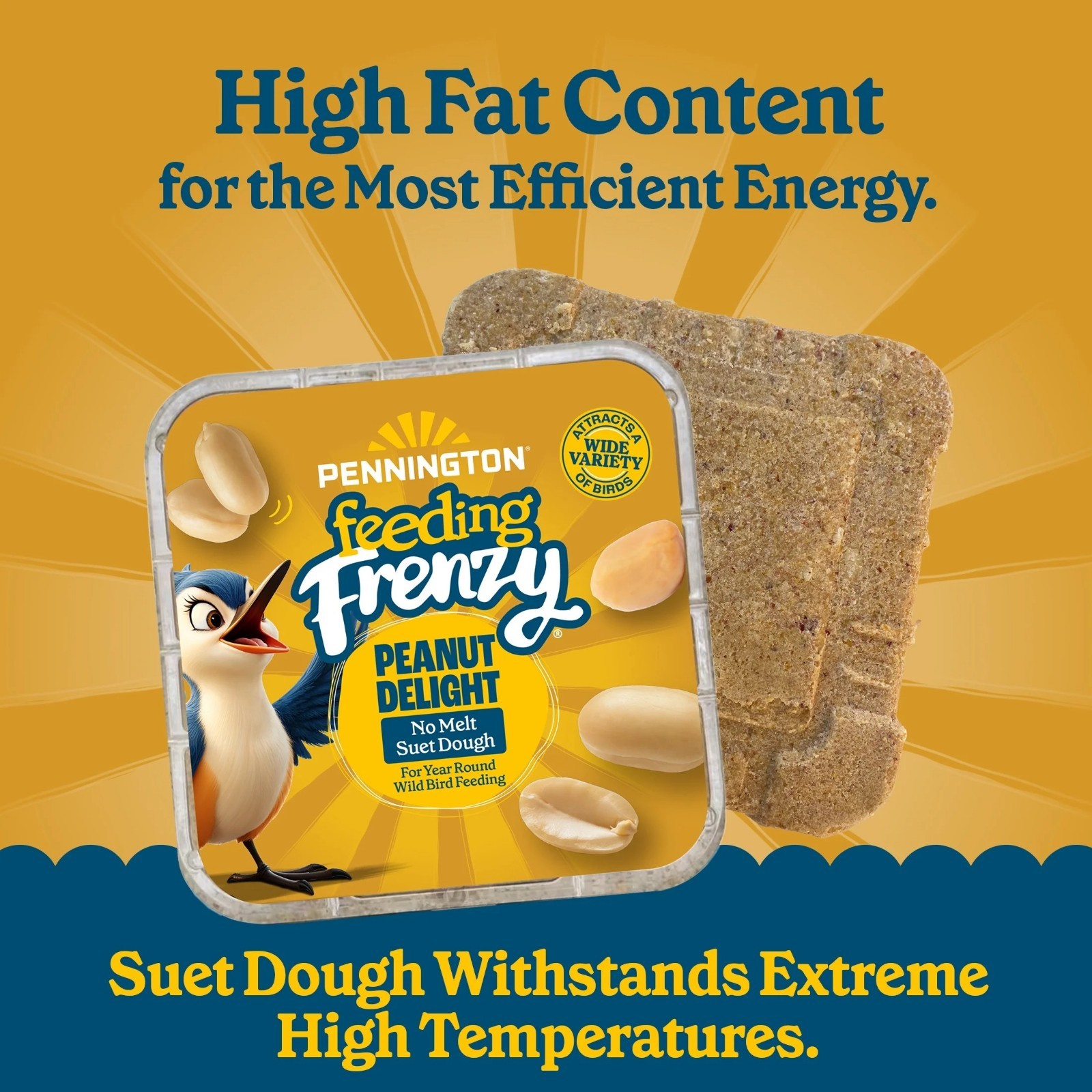 Peanut Delight Suet, 11.75 oz. Cake, Wild Bird Food, 8 Count Value Pack, Fresh