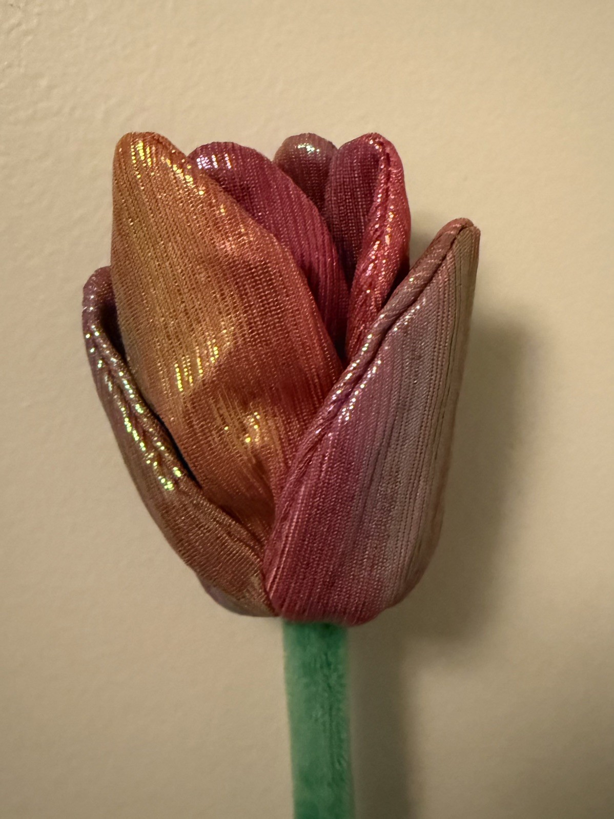 CJ Hendry Flower Shop - Limited Edition Flower of the Day - Iridescent Tulip