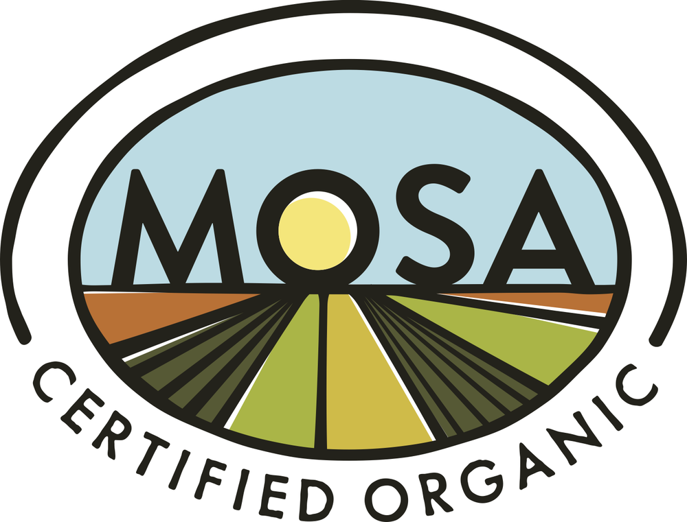 Sapsquatch Organic Maple Sugar