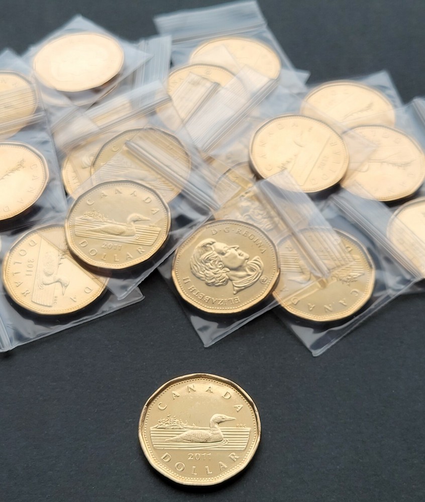 ***  CANADA  LOONIE  2011  ***  FROM  MINT  ROLL ***  EXCELLENT   CONDITION  ***