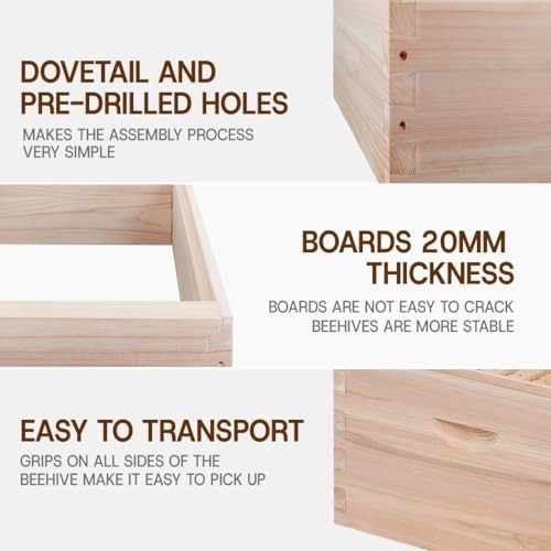 Medium Super Beehive Box,Langstoth Super Honey Bee Hive Box, Include 10 Frame