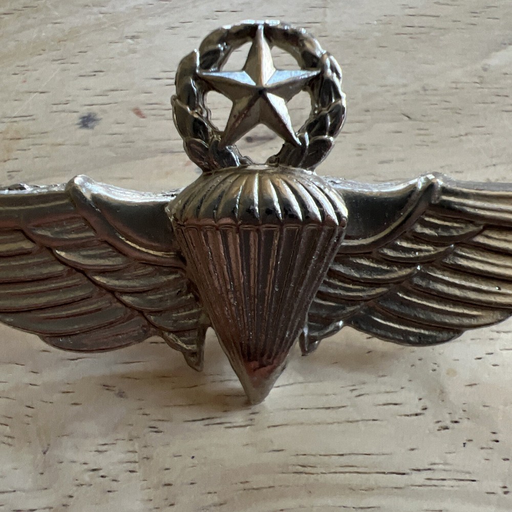 VintagePara Wings. Silver Tone. Pin Back