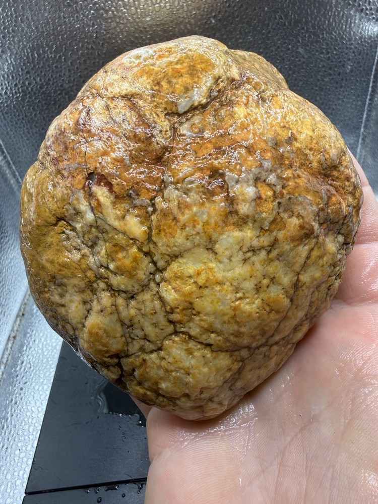 Ancient Fossilized Indiana Geode Agate 5,420 Carats