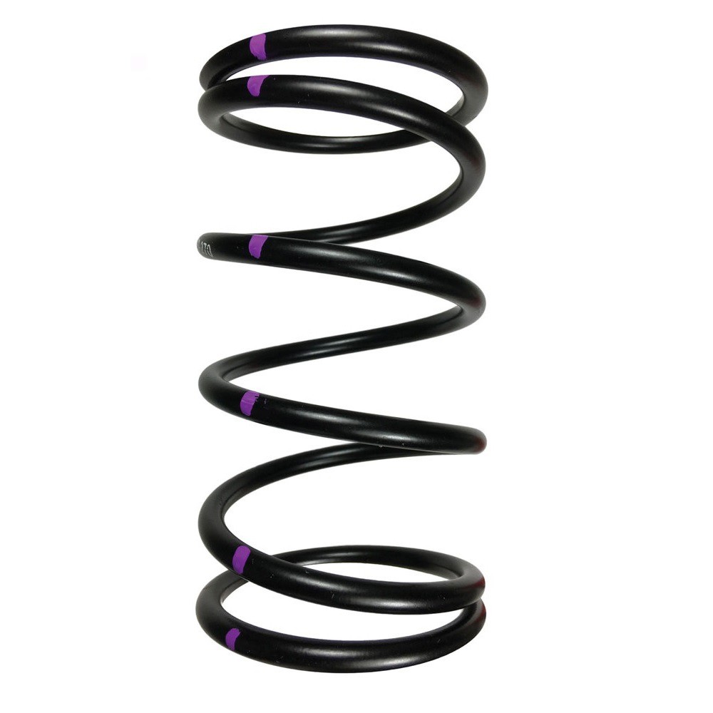 Speedwerx H5 Driven Clutch Spring Black/Silver Clutch