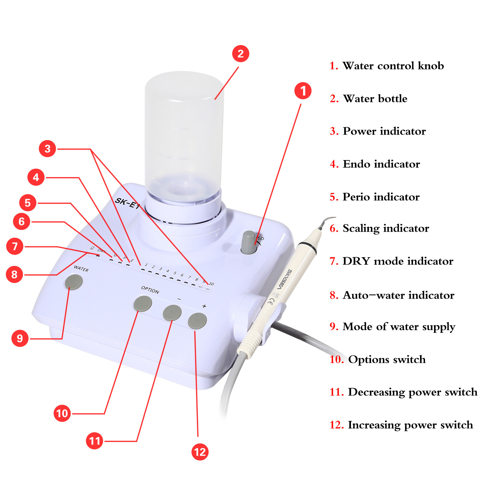 Ultrasonic Piezo Dental Scaler Handpiece 2*Bottles Dosing Fits EMS Cavitron tips