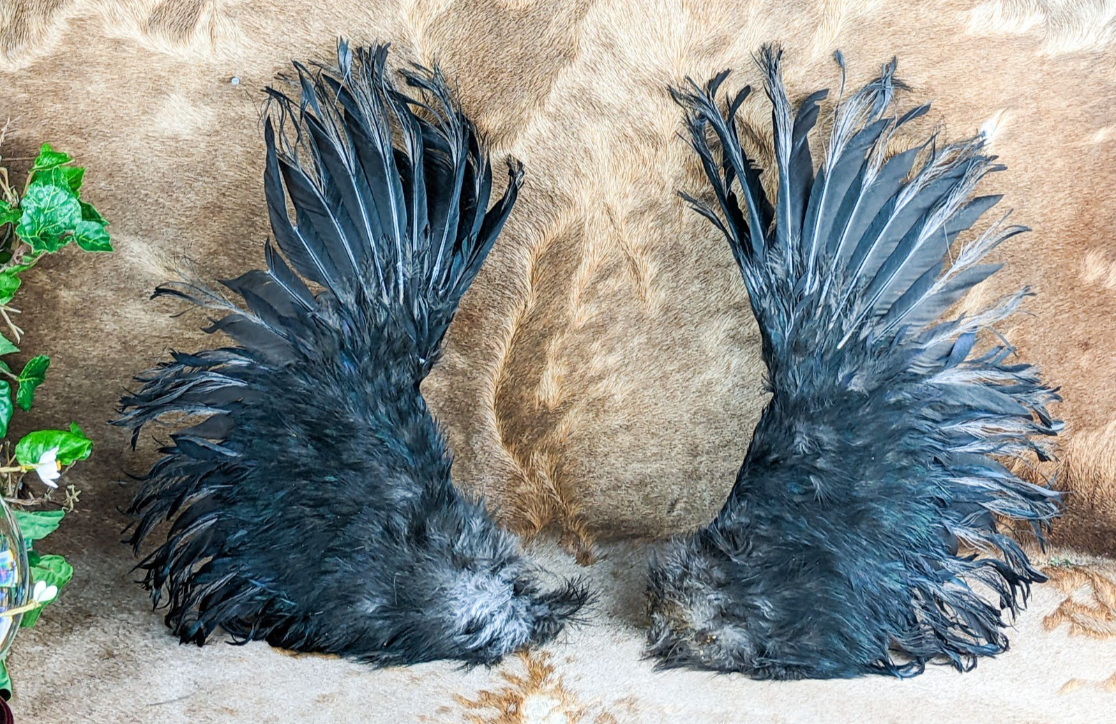 Silkie Chicken Wings Fallen Angel Crafts Bird Feathers pair props costume art