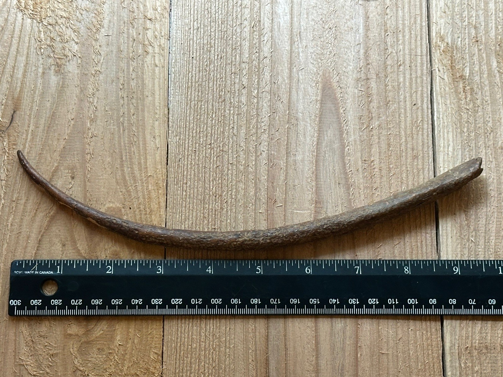 Tomachee Artifacts 👣 ESKIMO INUITS LARGE ROOT PICK TOOL BERING SEA AK🔥