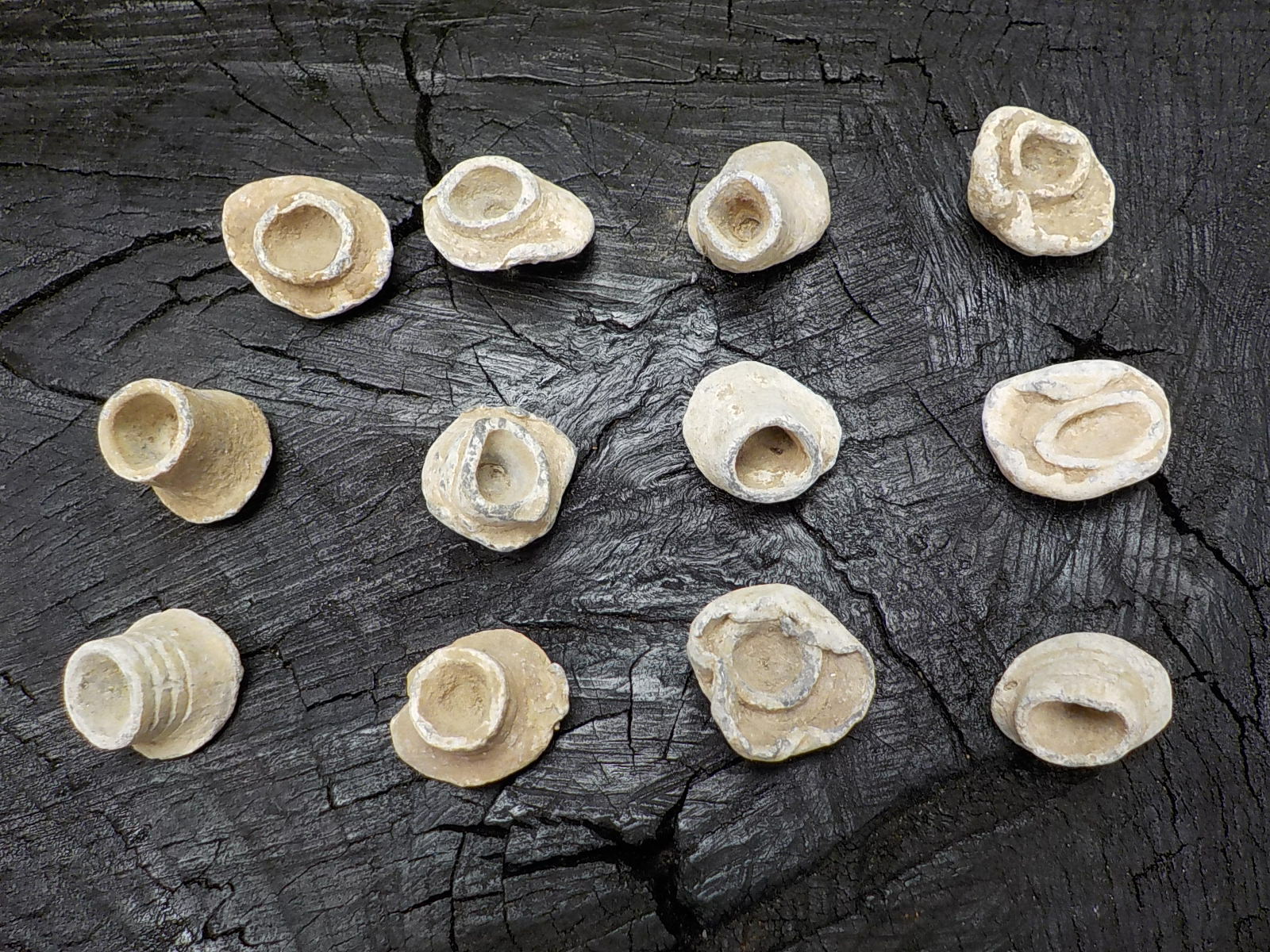 Old Rare Vintage Civil War Miniball Direct Hit Recovered in Appomattox Virginia