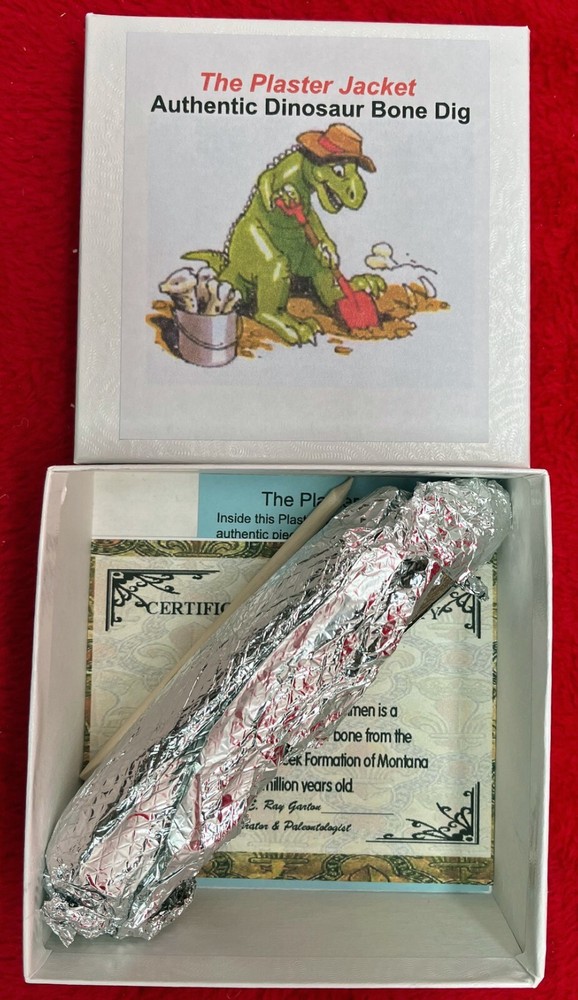 Authentic Plaster Jacket Dinosaur Bone Dig #4000
