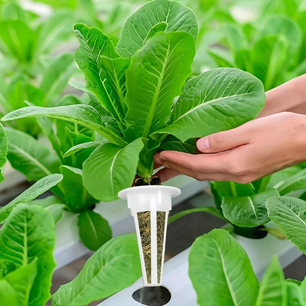 121PCS Hydroponic Garden Seed Pods Grow Anything Kit Accessories Sponge Dome US