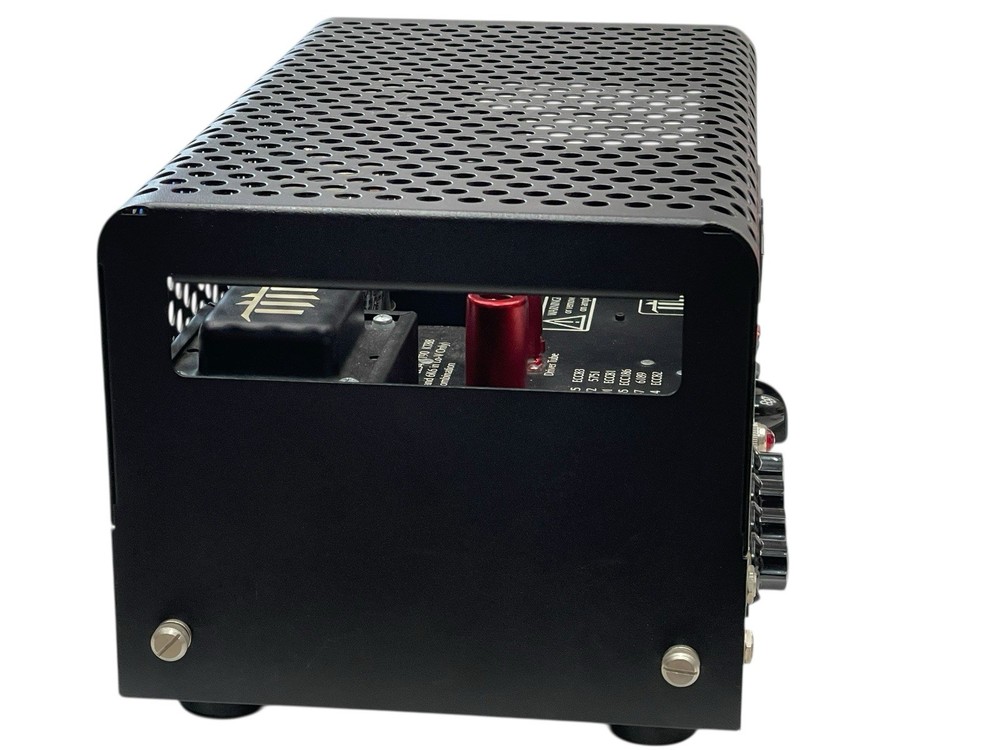 THD Bivalve-30 Class A Guitar Amplifier w/ Bag
