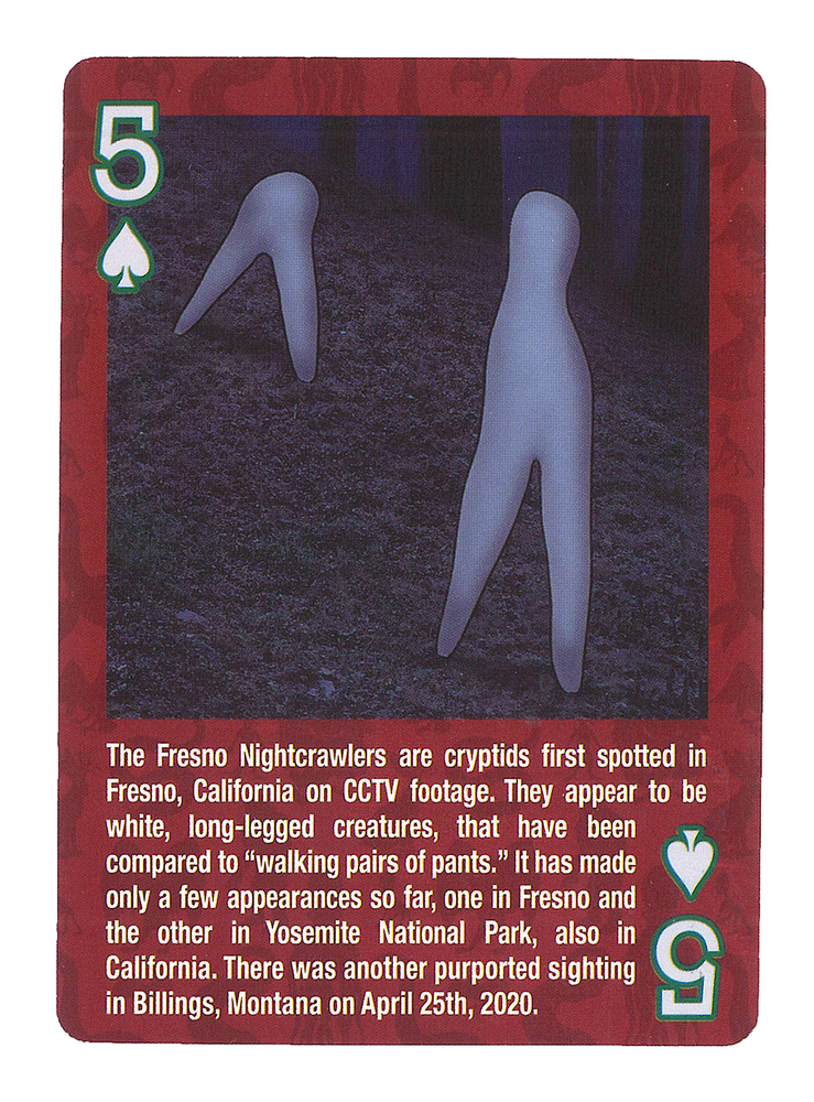 Cryptid Creatures Playing Cards Deck w/ Color Illustrations and Factoids (2024)