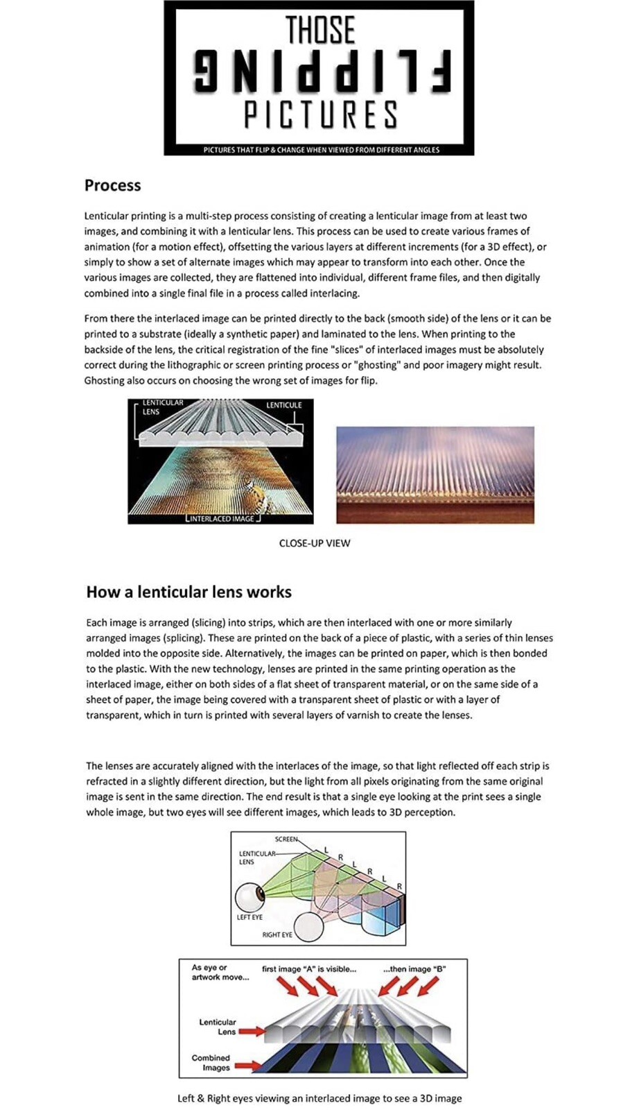 Pokémon-Venusaur,Charizard,Blastoise3D Poster 3D Lenticular Flip Effect,3 In One