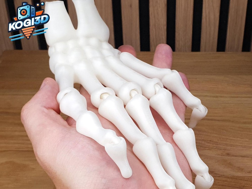 Human Hand Skeleton Life-Size Model: Detailed Bone Structure, Portable Study Aid