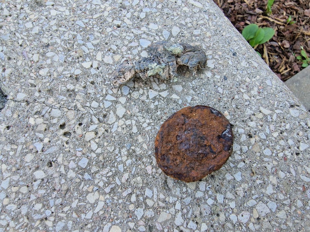 WW2 Original German Badges Front Item Relic.