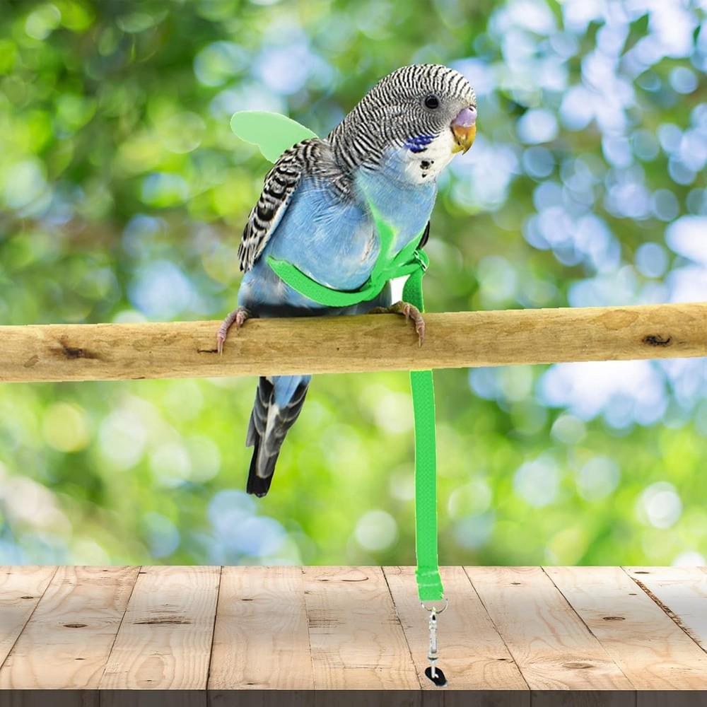 Ergonomic Parrot Harness & Leash - 2m Adjustable Nylon Rope for Safe Adventures