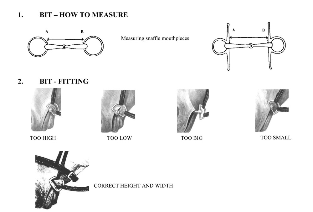Winning Tongue Plate Bit - Dee Snaffle Eggbutt Lightweight