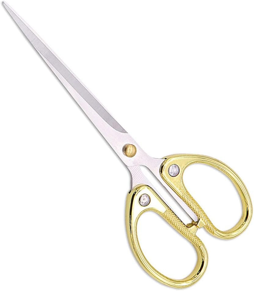 6.3-Inch Small Craft Scissors, Sharp Blades Office Scissors for Desk, Stainless