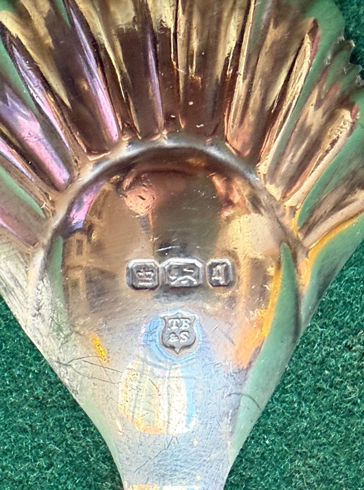 Antique Solid Silver Caddy Scallop Shell Spoon Sheffield Thomas Bradbury & Sons