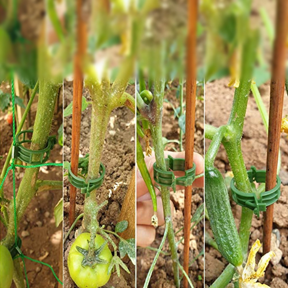Efficient Solution for Fixing Solanaceous Vegetables Plant Vine Ties 100PCS