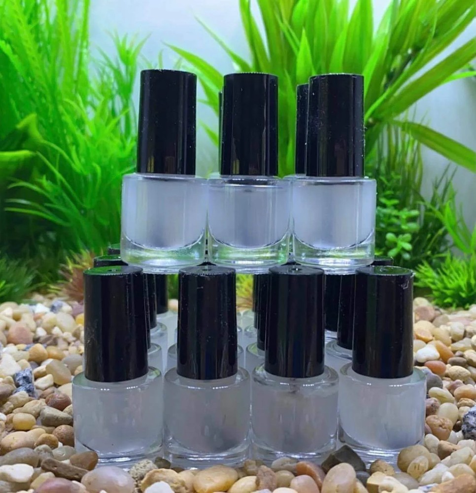 Aquarium Coating for DIY