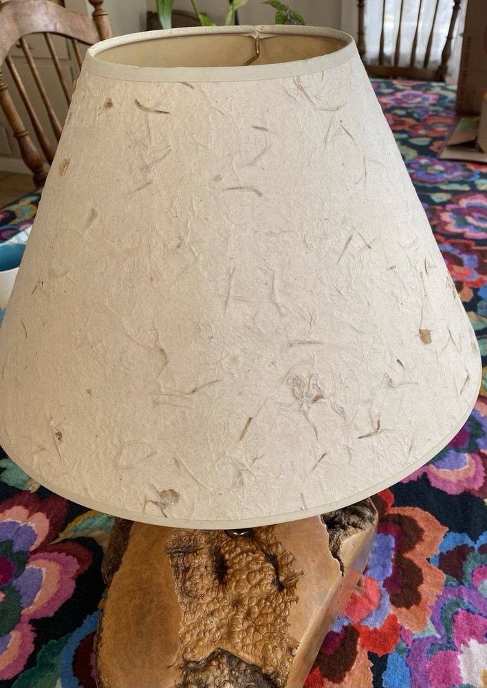 Burl Wood Lamp