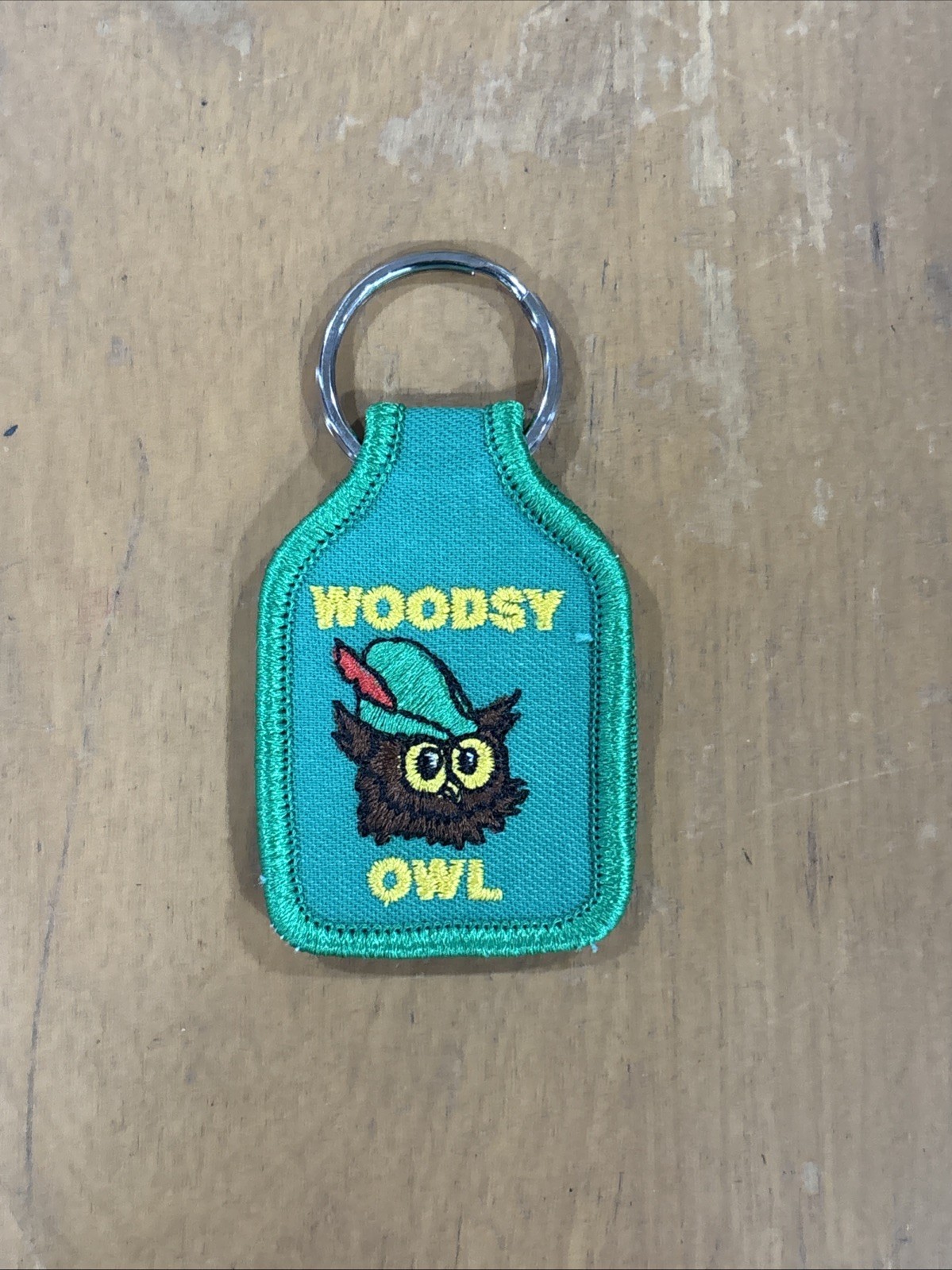 VINTAGE WOODSY OWL "Give a Hoot Don't Pollute" Keychain