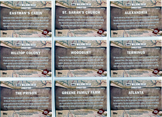 Walking Dead Evolution No Safe Haven Complete 9 Card Chase Set