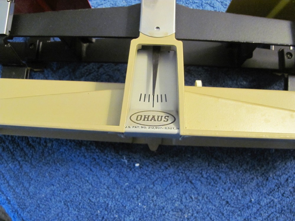 O'haus Scale