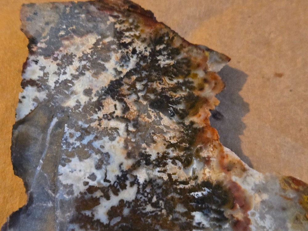 Stunning Plume Agate Slab specimen