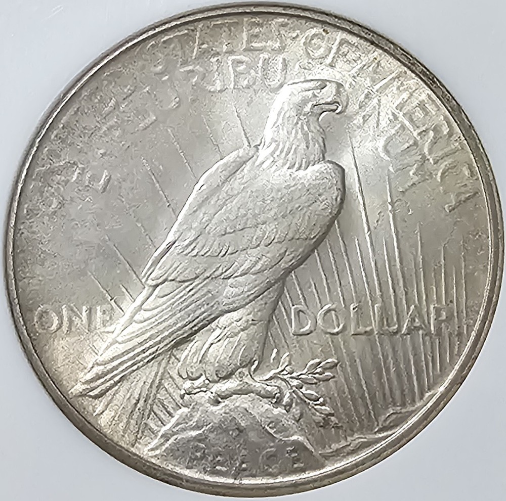 1934 Peace Dollar MS-64 NGC VIDEO