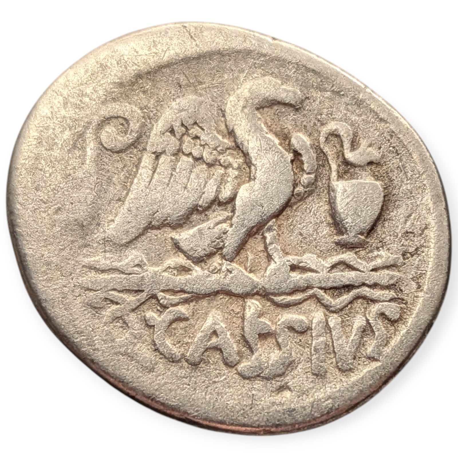 Q. Cassius Longinus 55BC. AR Denarius Roman Republic Ancient Silver Coin 11P