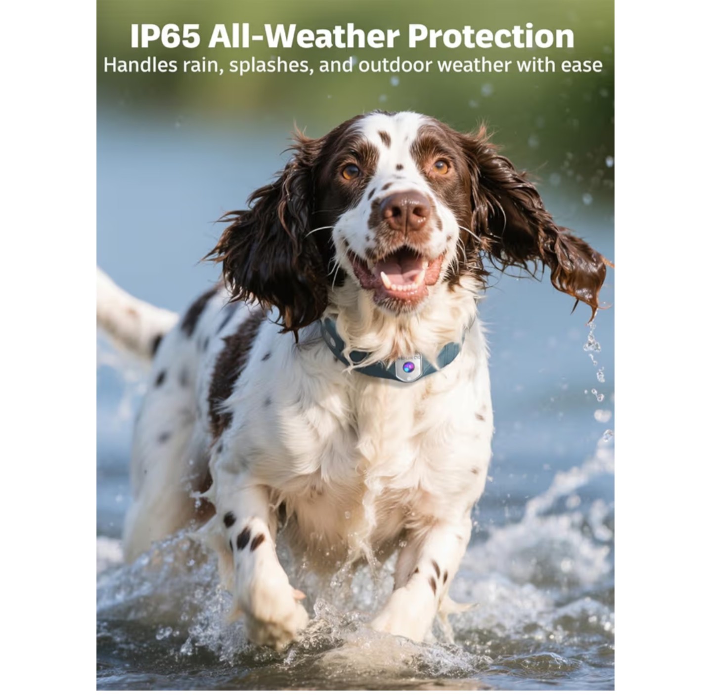 GPS Wireless Dog Fence System with 2K Camera, Live Video, 5 Day Battery, SEALED