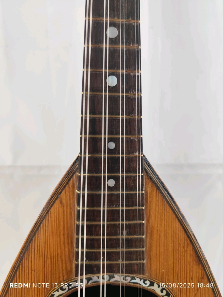 Mandolin 4/4 Giuseppe Cesolari 1905 Rome 曼陀林 만돌린マンドリン