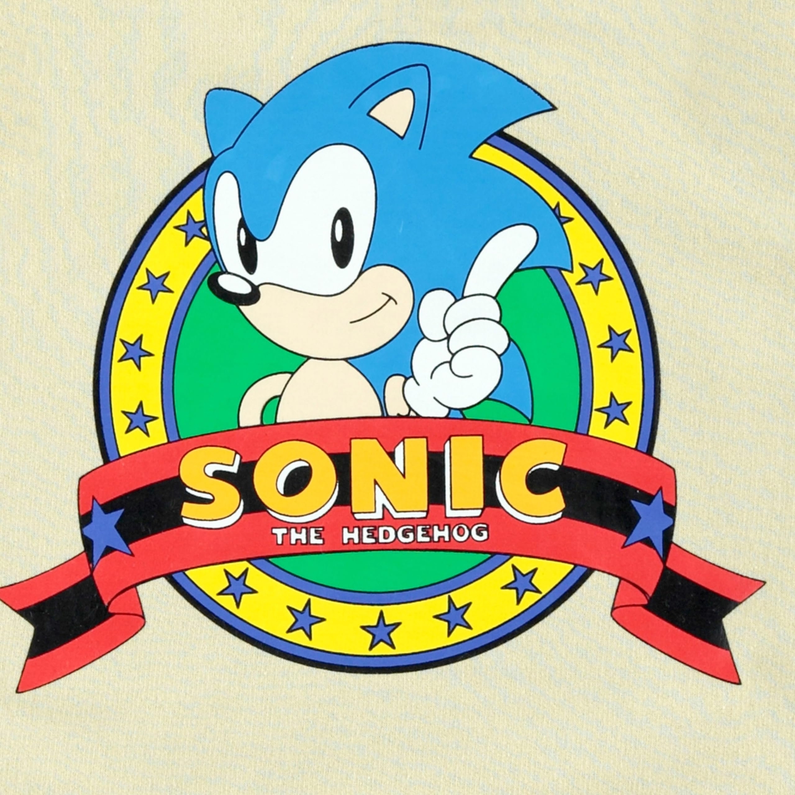 Boys Sonic The Hedgehog Sweatshirt and Shorts Clothing Set