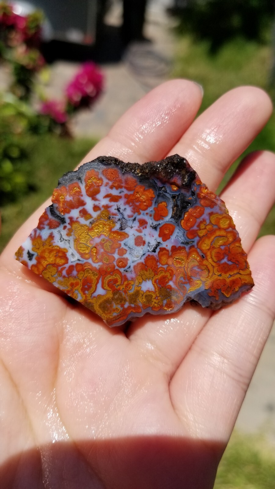Wingate PASS PLUME AGATE Slab