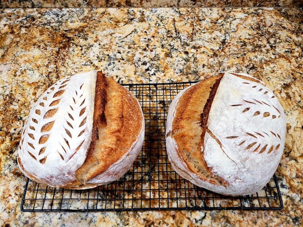 Organic DEHYDRATED SOURDOUGH STARTER