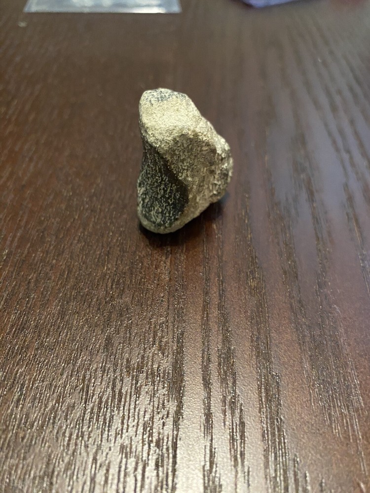 Ancient Fossil, Bone, Unusual, Age Unknown, Very Old, REAL!