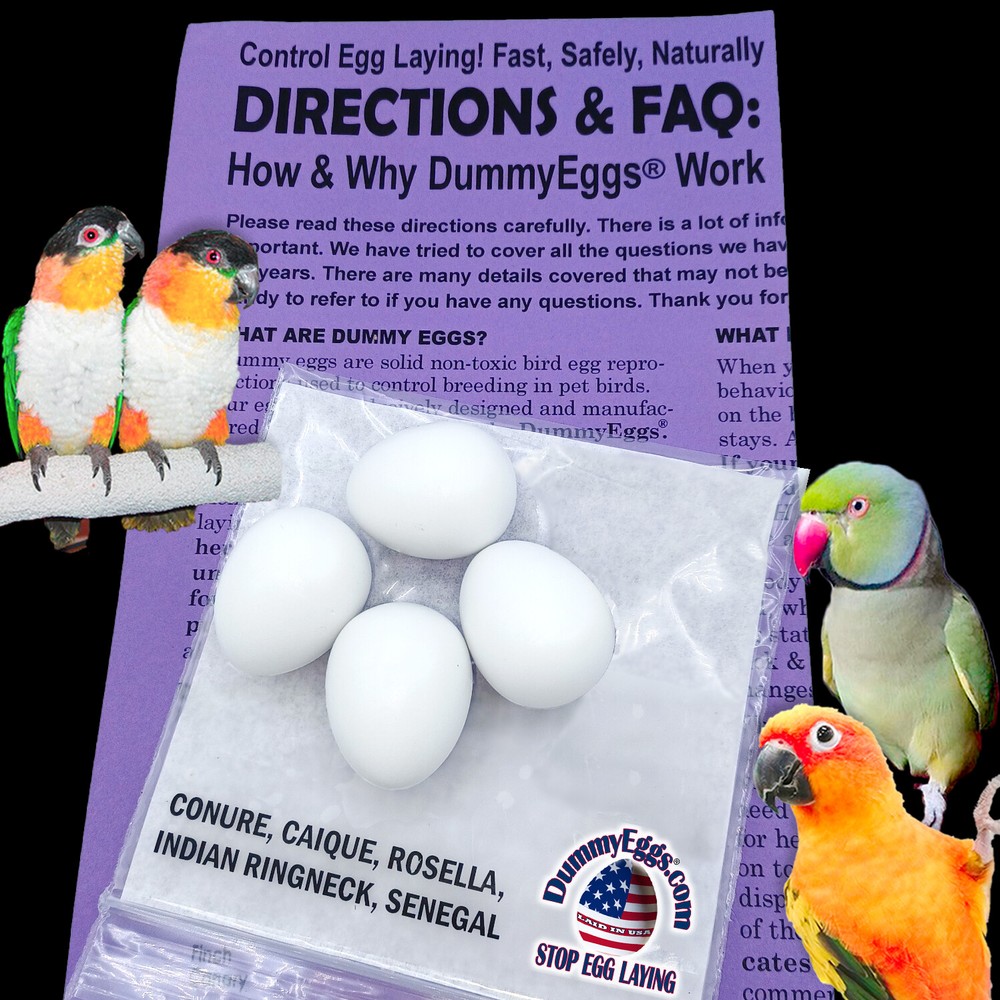 PLASTIC SMALL PARROT EGGS STOP LAYING! Conure, Caique. 4 Solid DummyEggs USA