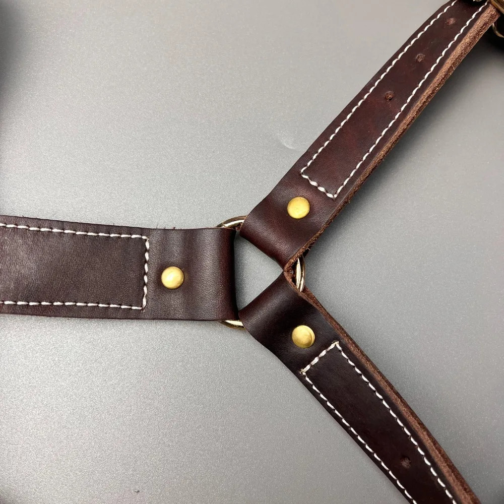 Genuine Leather Y-Shaped Dog Harness Adjustable Neck Chest Pull-Proof, Durable