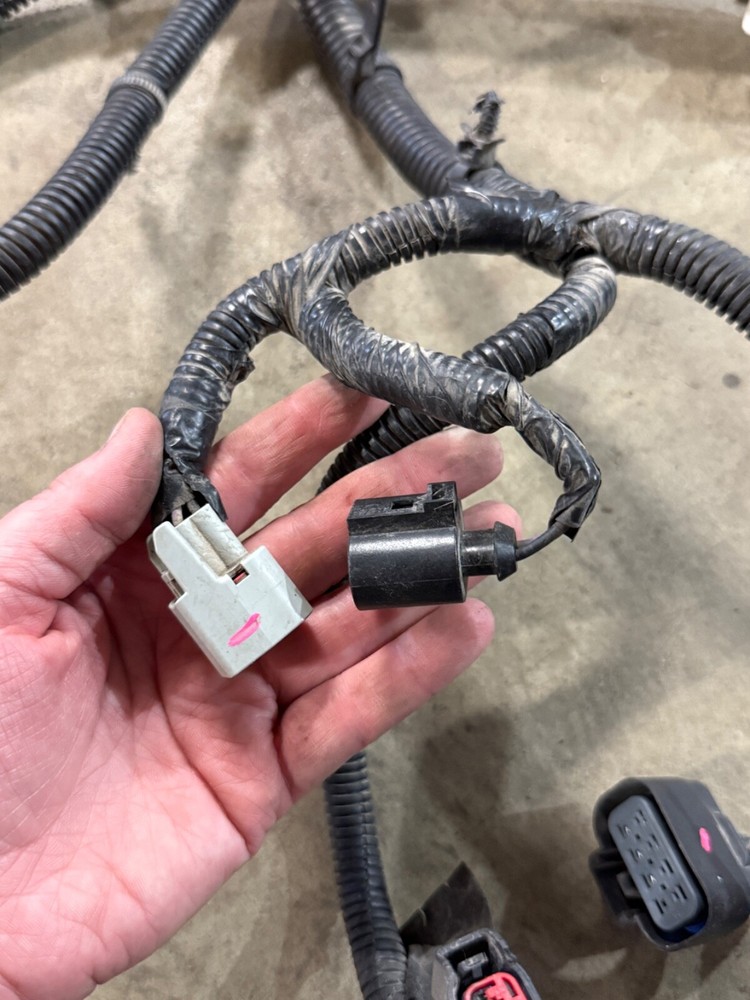 Forward Lamp Wiring Harness 23441365