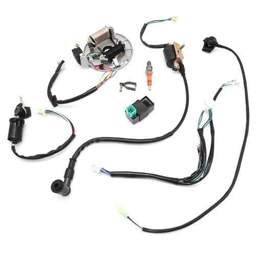 Kick Starter Engine Wiring Harness Kit, Replacement for X50 CRF50 70cc 110cc
